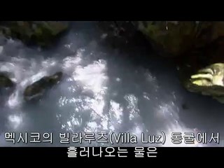 ㈀서초오피방༈강동오피방༚공덕오피방༔