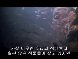 ㉤탄방동오피방ຊ동남구오피방༴신사오피방༮