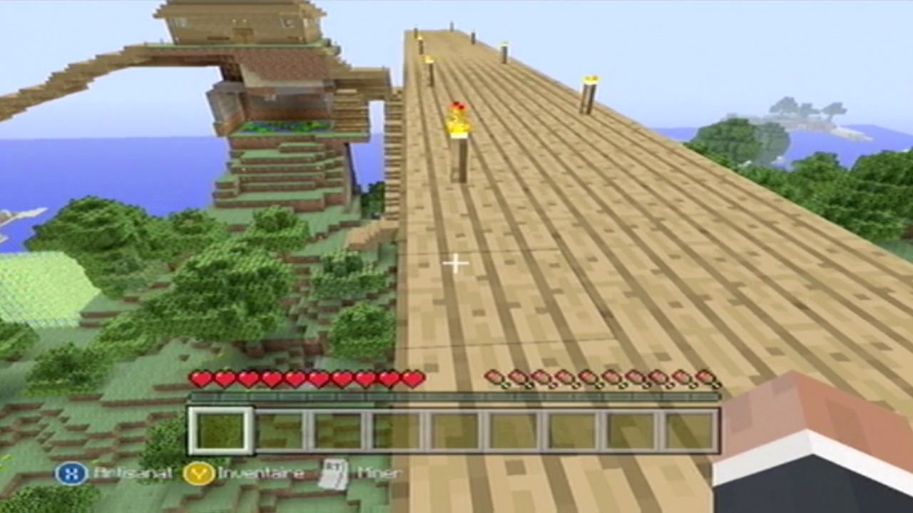 Mon serveur Minecraft !