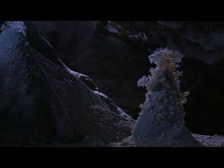 ㉮덕진오피방༿영암오피방༑서초오피방௶